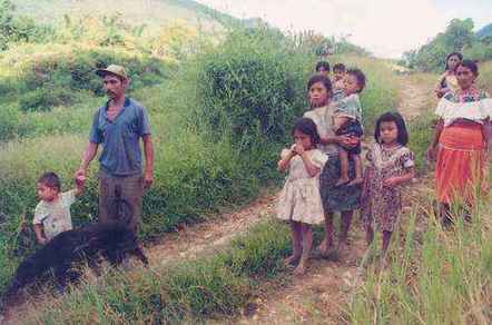 Choles de Tumbalá - Comunidad Zapatista sufre desalojos a manos de paramilitares
